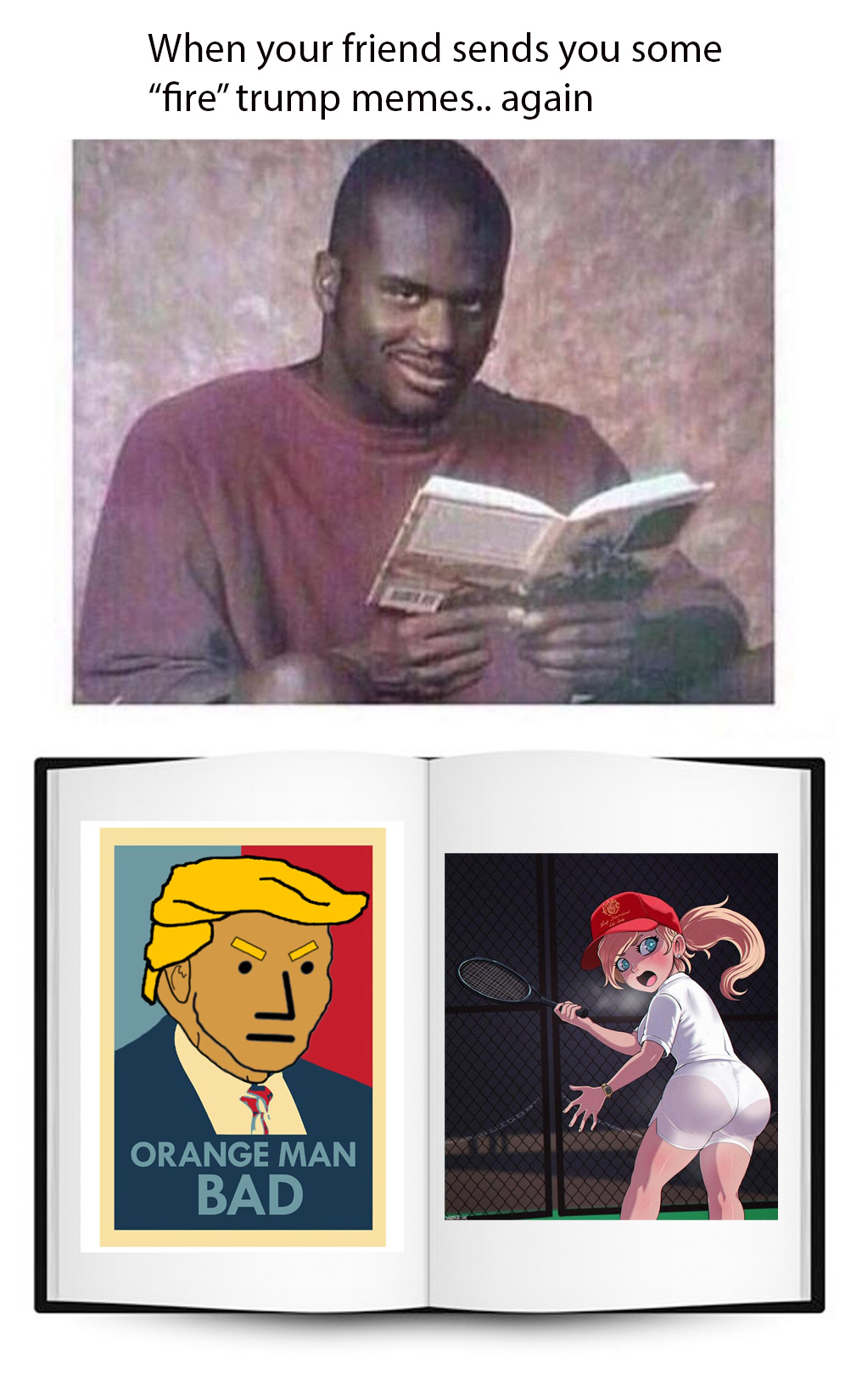 trump meme